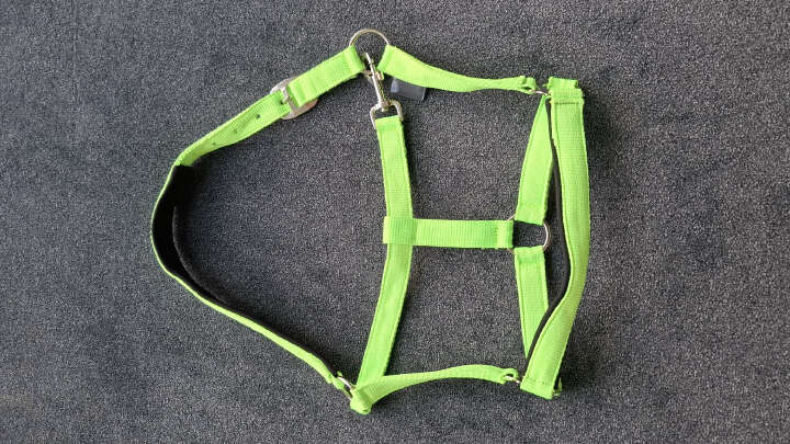 KANTRIE Halfter Meadow